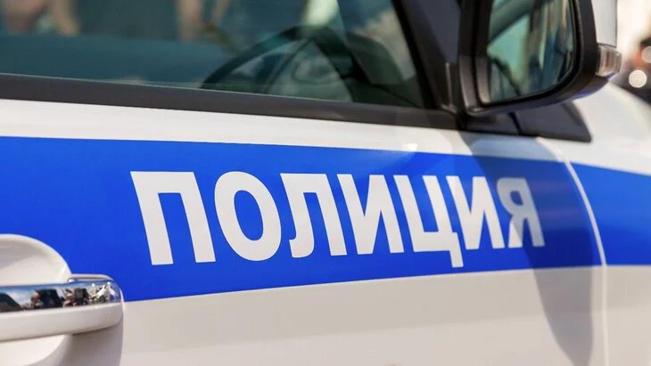 ТАСС: полиция начала проверку по факту обнаружения в архиве поддельного указа Петра II ТАСС: полиция начала проверку по факту обнаружения в архиве поддельного указа Петра II