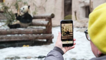 В Московском зоопарке с 12 января временно закроют павильон "Фауна Китая"