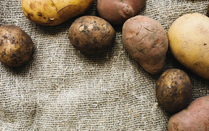 Подмосковные врачи помогли мужчине, засунувшему картофель себе в задний проход