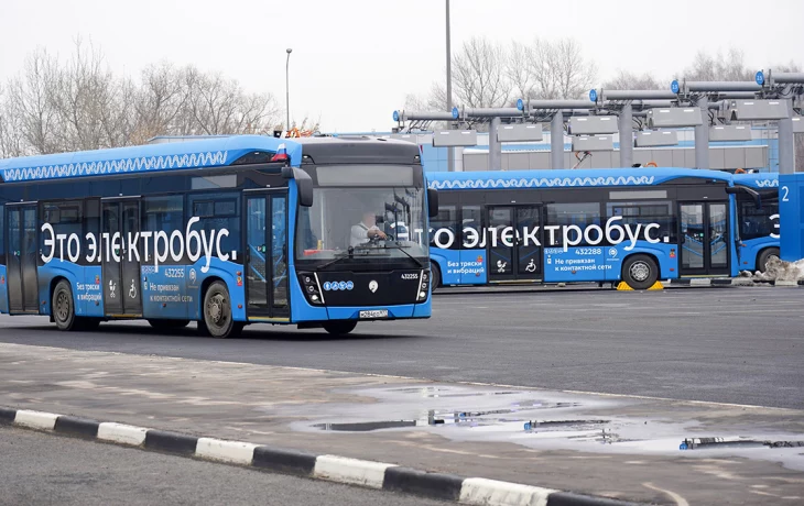 Москвичам рассказали о самом популярном виде общественного транспорта