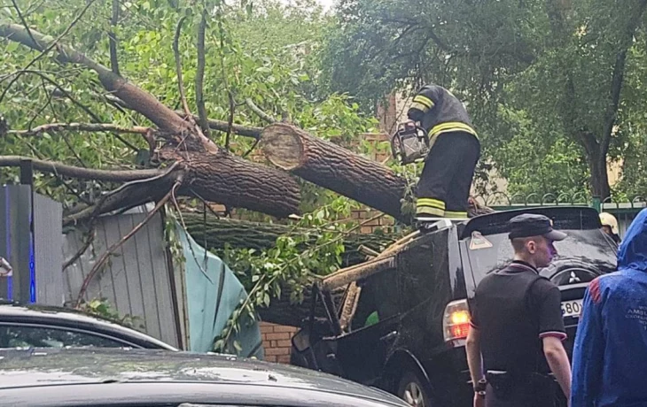 Городские службы ликвидируют последствия непогоды в Москве