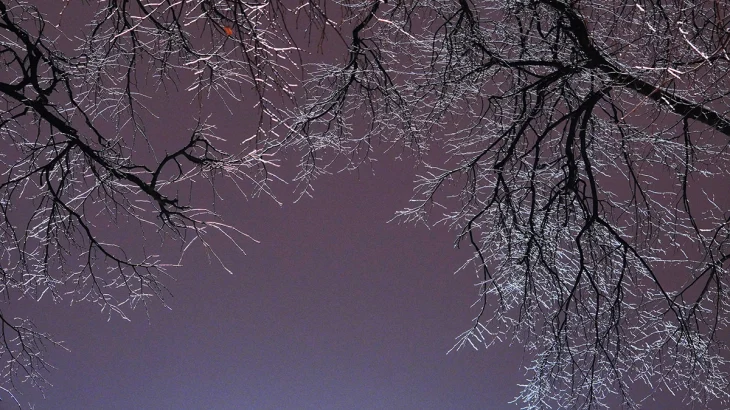 Синоптик Тишковец предупредил москвичей о снеге и ледяных дождях Синоптик Тишковец предупредил москвичей о снеге и ледяных дождях