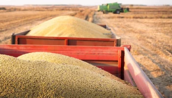 Несырьевой экспорт столицы в страны ШОС вырос более чем на 8% за полгода