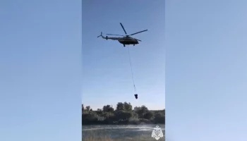 Пожар в районе воронежского села Ямное ликвидирован на 50 га