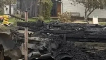 СК возбудил дело после гибели женщины и ребенка при пожаре в подмосковном СНТ