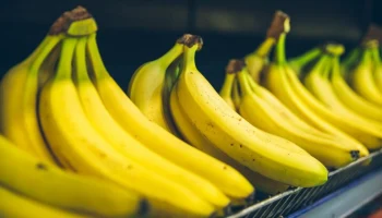 Бананы вошли в перечень сельскохозяйственной продукции России