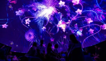 Иммерсивное шоу "Мозг. Вселенная внутри нас" покажут на фестивале "Москва 2030"