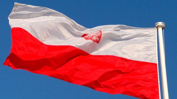 В СК заявили, что элементы СВУ для подрыва генерала Кириллова доставлены из Польши В СК заявили, что элементы СВУ для подрыва генерала Кириллова доставлены из Польши