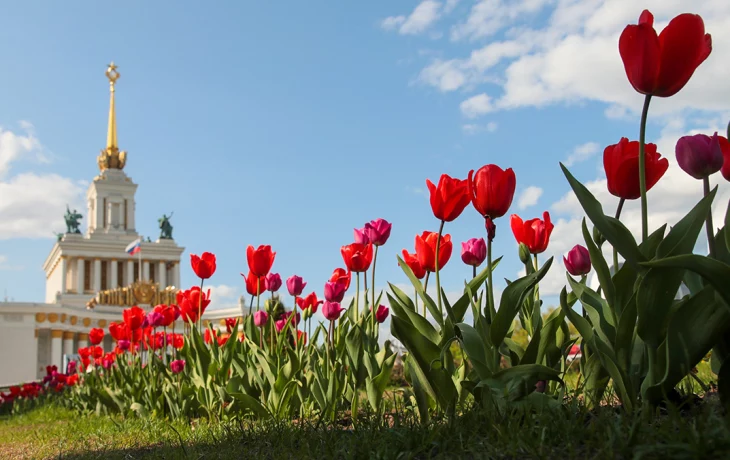Более двух тысяч спортсменов поучаствовало в параде на ВДНХ в Москве Более двух тысяч спортсменов поучаствовало в параде на ВДНХ в Москве