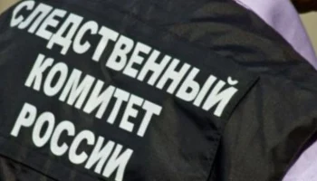Бастрыкин поручил доложить о нападении собаки на женщину в Подмосковье