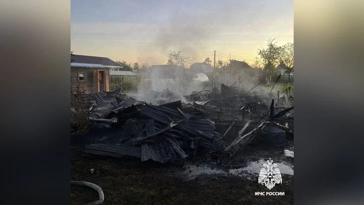 Трое мужчин погибли при пожаре в дачном доме под Вологдой