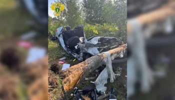 Три человека погибли при столкновении автомобиля с деревом в ТиНАО