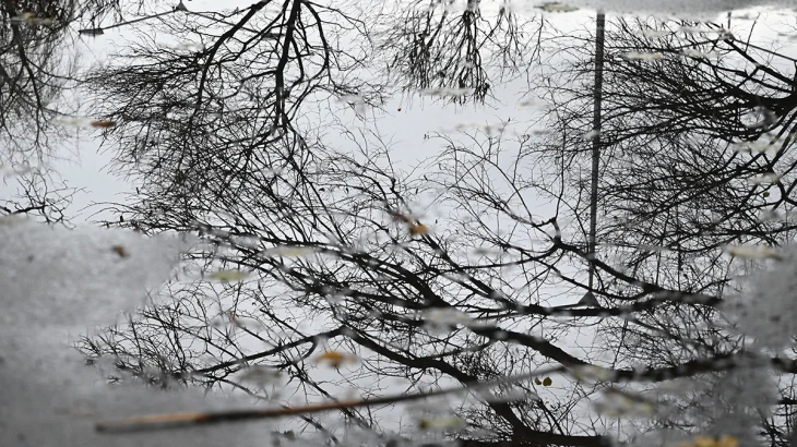 В Гидрометцентре рассказали об очередном потеплении в Москве В Гидрометцентре рассказали об очередном потеплении в Москве