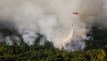 Названы самые пожароопасные места в Подмосковье