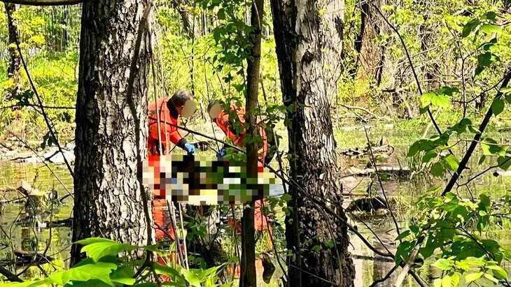 Тело несовершеннолетней обнаружили в парке около Большого Купавенского проезда Тело несовершеннолетней обнаружили в парке около Большого Купавенского проезда