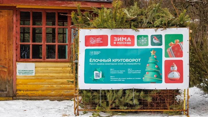 Пункты акции "Елочный круговорот" начнут работу в Москве 2 января Пункты акции "Елочный круговорот" начнут работу в Москве 2 января
