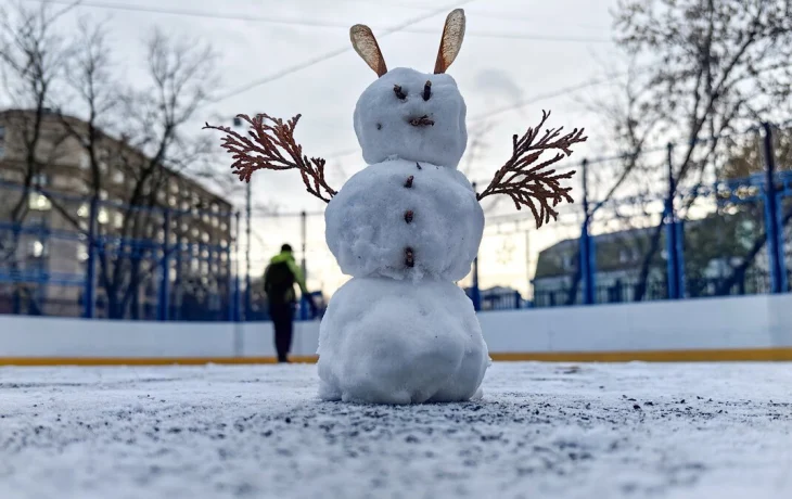 Синоптики спрогнозировали мокрый снег и гололедицу в Москве 18 января