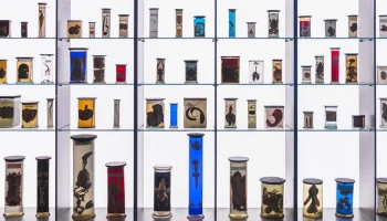 В московских музеях рассказали о принципах правильного хранения экспонатов