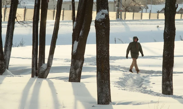 Метеоролог Позднякова рассказала, когда температура в Москве придет в норму
