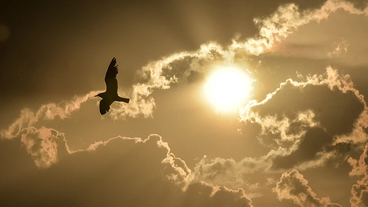 «Желтый» уровень из-за высокой пожарной опасности объявили в столичном регионе «Желтый» уровень из-за высокой пожарной опасности объявили в столичном регионе