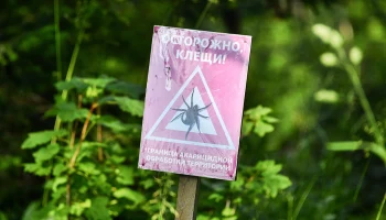 Москвичей предупредили о начале сезона клещей