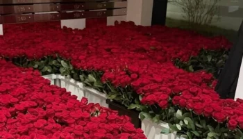 Девушка, которой привезли миллион роз в Раменках, отказалась от подарка из-за цвета