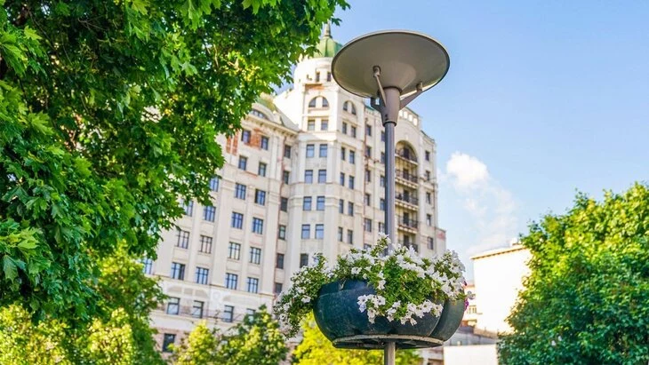 Свыше 250 тысяч цветочных кашпо украсят столицу в этом году Свыше 250 тысяч цветочных кашпо украсят столицу в этом году