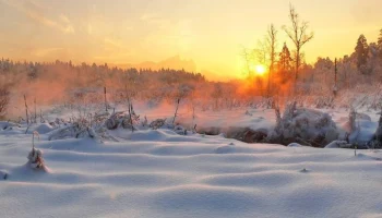 "Лосиный остров" призвал не купаться в водоемах нацпарка на Крещение