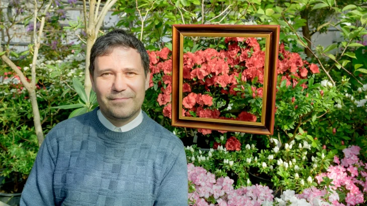 У азалии японские корни. В чем уникальность этих редких цветов, требующих особого ухода У азалии японские корни. В чем уникальность этих редких цветов, требующих особого ухода