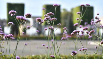 Синоптик Ильин рассказал, какая погода будет в сентябре в Московском регионе