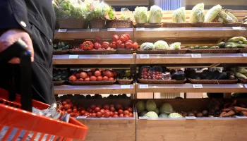 Россельхознадзор выявил грубые нарушения в магазинах сети &laquo;Светофор&raquo;