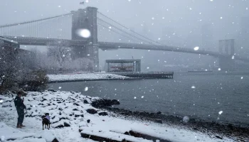 ABC: минимум 42 человека погибли в результате снегопада в США ABC: минимум 42 человека погибли в результате снегопада в США