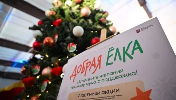 Акция "Добрая елка" продлится в Москве до 28 февраля