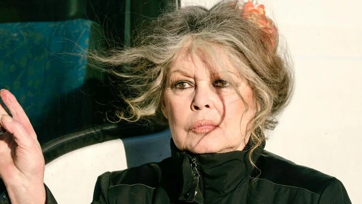 Актриса Брижит Бардо заявила, что разочарована Эммануэлем Макроном Актриса Брижит Бардо заявила, что разочарована Эммануэлем Макроном