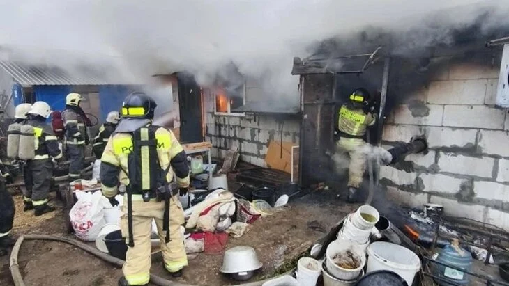 200 собак погибли при пожаре в Нижнем Новгороде 200 собак погибли при пожаре в Нижнем Новгороде
