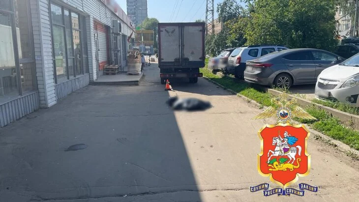 Водитель грузовика насмерть задавил пенсионерку в Подмосковье Водитель грузовика насмерть задавил пенсионерку в Подмосковье