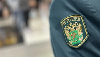 Российские таможенники задержали партию кокаина на 600 миллионов рублей