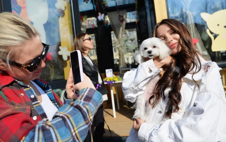 Более тысячи бесплатных консультаций проведут ветеринары проекта &laquo;Четвероногий друг&raquo;