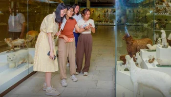 Собянин: на базе музеев Москвы пройдут международные и национальные проекты