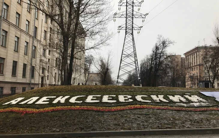 Алексеевский район 4