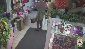 Житель Нижнего Новгорода украл цветы и игрушку из магазина для своей возлюбленной