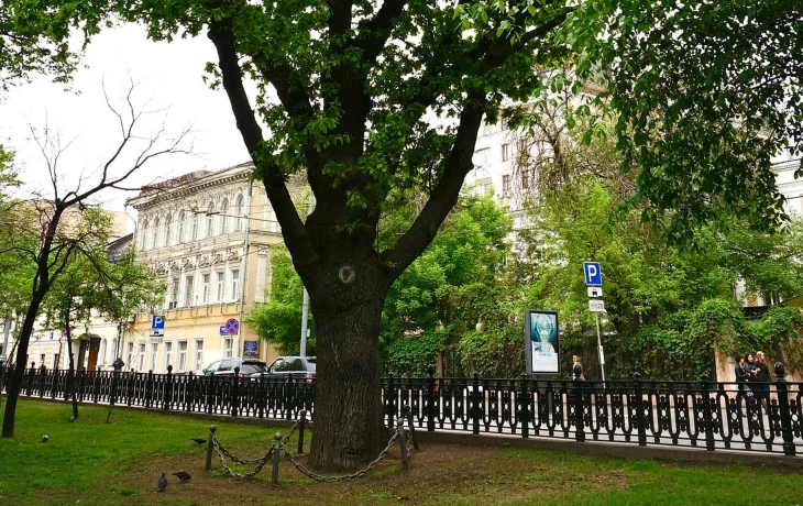 Тверской бульвар 5