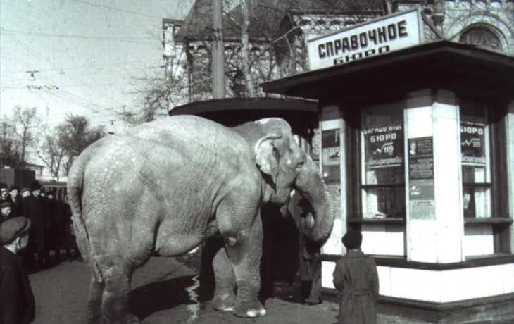 Дурова улица 4