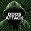 DDoS-атаки: как от них защититься