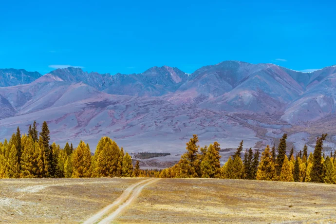 Курайская степь: Путеводитель по затерянному миру Алтая, где время останавливается