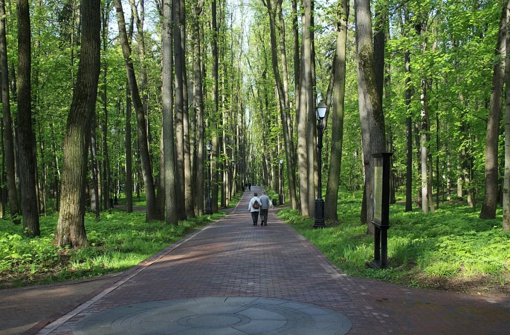 Парк Царицыно &mdash; зелёное сердце района