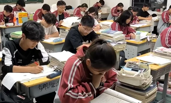 Как подготовиться к ЕГЭ и IELTS: исследование Энтони Грина в Assessment in Education