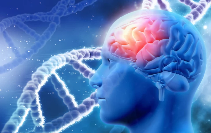 Неправильные представления и опасности, связанные с расширением генетической памяти за пределы биологии