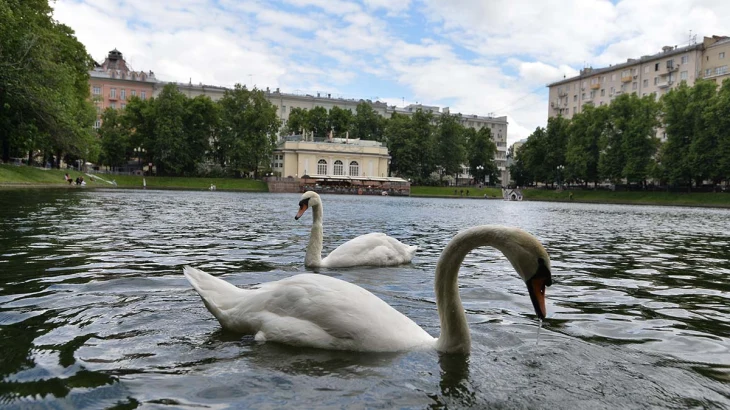 История современных Патриков: как Патриаршие пруды стали символом Москвы 2