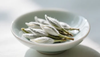 Тихая поэзия китайского белого чая Тихая поэзия китайского белого чая